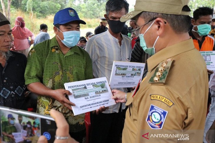 Pemprov Babel bantu Poktan Katis lahan 350 hektare kembangkan lada