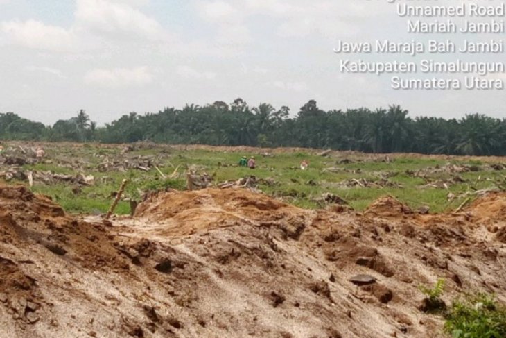 PTPN IV Kebun Bah Jambi kelola lahan HGU