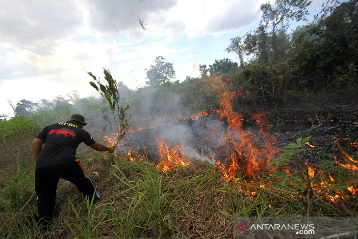 Karhutla Di Kalsel Mulai Marak Terjadi