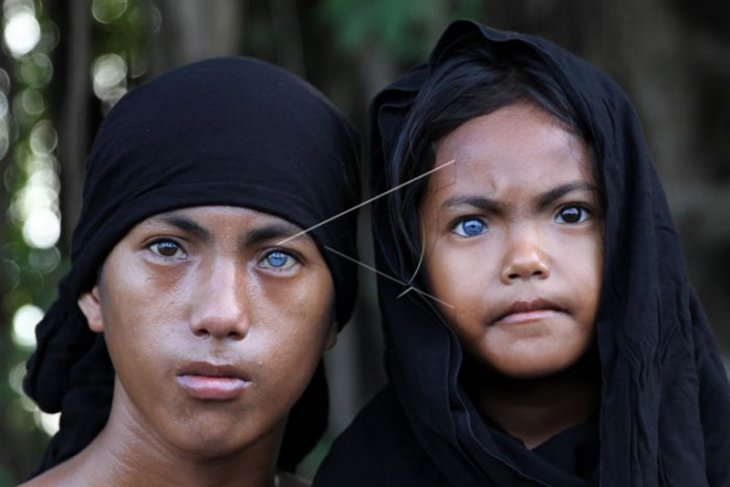 Mata Biru dan Merah Dari Pulau Buton dan Muna