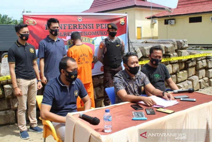 Polisi tangkap pelaku pembalakan liar di Mukomuko