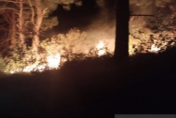 Dua hektare lahan terbakar di Bener Meriah
