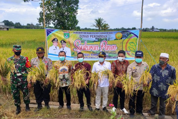 Yayasan H. Maming siap beli hasil panen padi milik petani di Tanah Bumbu