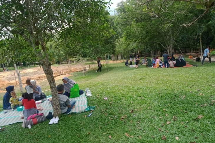 Selama pandemi pengunjung Hutan kota turun hingga 75 persen