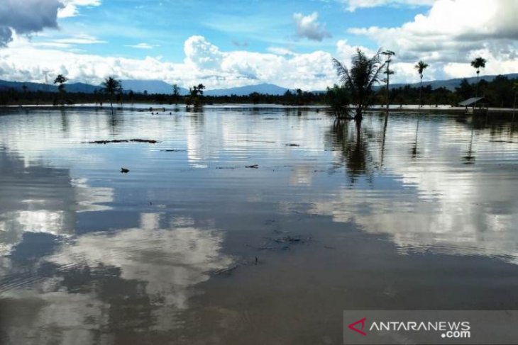 Puluhan hektare sawah siap tanam di Tapsel terendam banjir