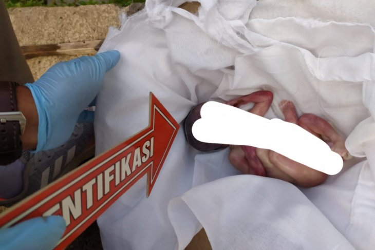 Petani temukan bayi dengan ari-ari belum terpotong di sungai