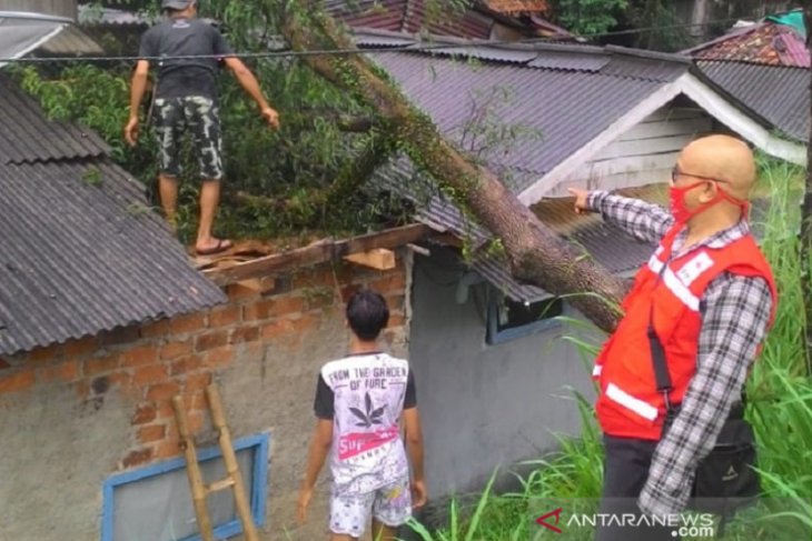 Sejumlah rumah rusak dan pohon tumbang disapu angin kencang di Sukabumi