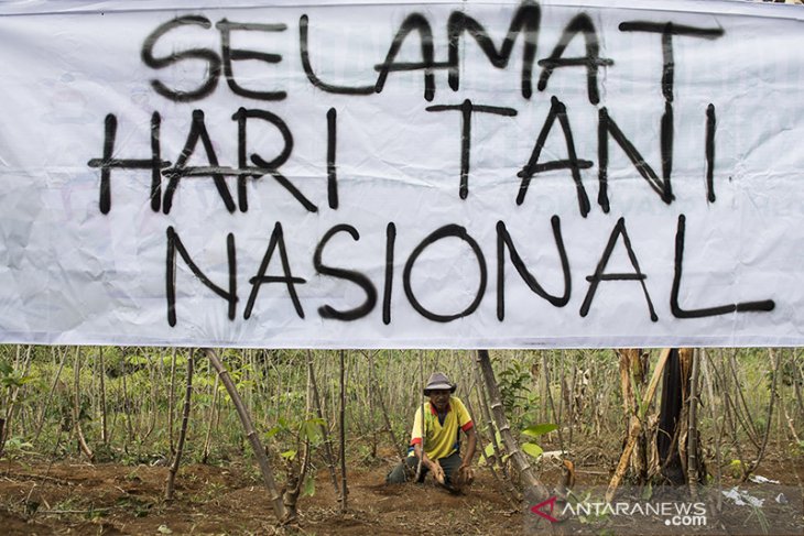 Aksi simpatik Hari Tani Nasional 