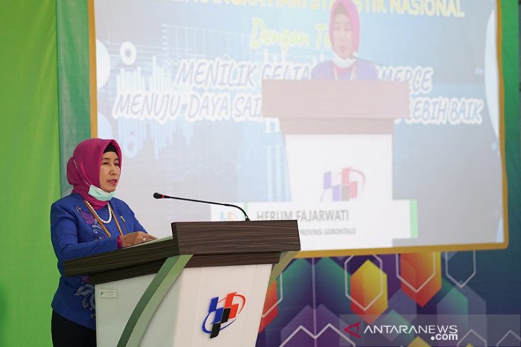BPS Gorontalo gelar webinar rangkaian Hari Statistik Nasional 2020