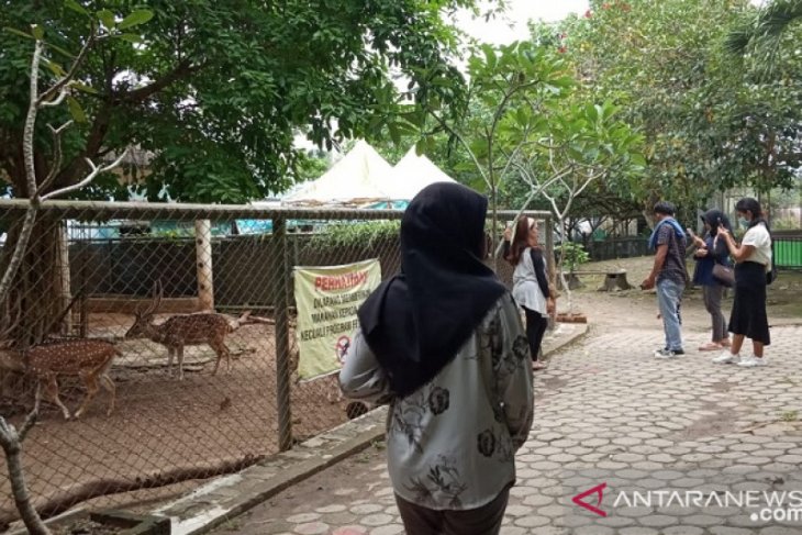 Pengunjung kebun binatang Jambi turun 75 persen