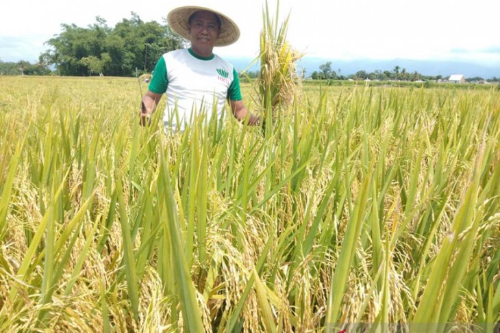 HKTI Jember sebut kebijakan pemerintah belum berpihak petani