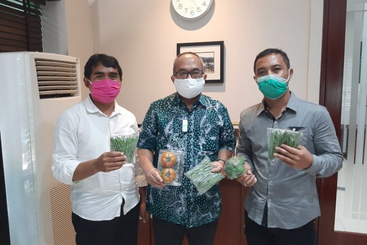 Informasi soal COVID-19 di masyarakat berlebihan