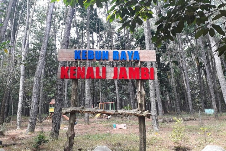 Kebun Raya Kenali berfungsi penelitian hingga foto