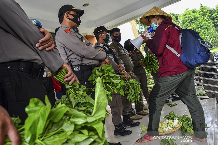 Aksi reforma agraria 