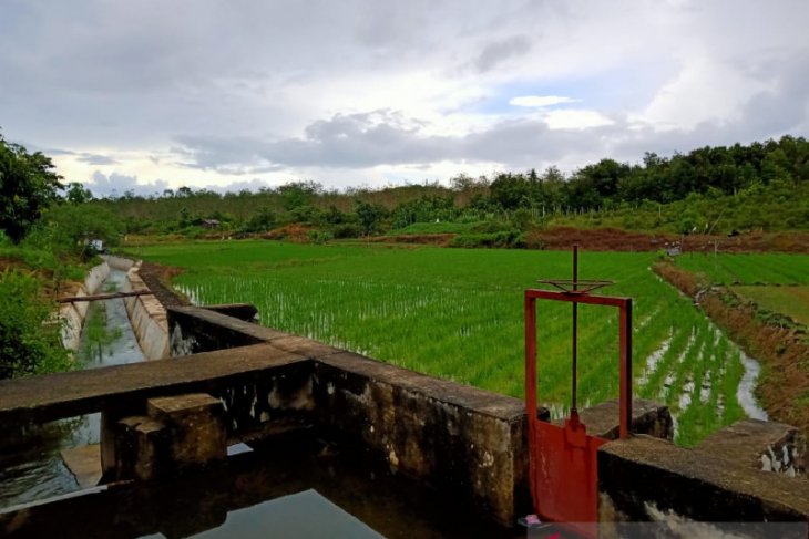 Petani Belitung diimbau bersihkan saluran irigasi dalam menghadapi musim hujan