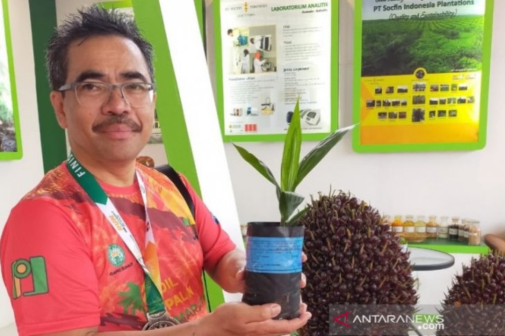 Label Palm Oil Free bukan berdasar regulasi pemerintah, tapi dilakukan swasta