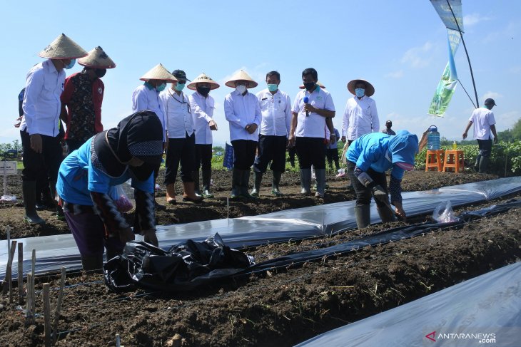 Kunker Menteri Koperasi dan UKM di Jember