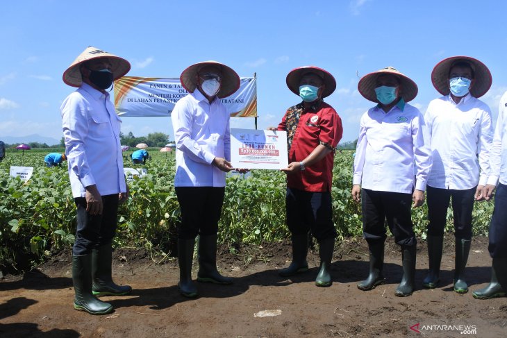 Kunker Menteri Koperasi dan UKM di Jember