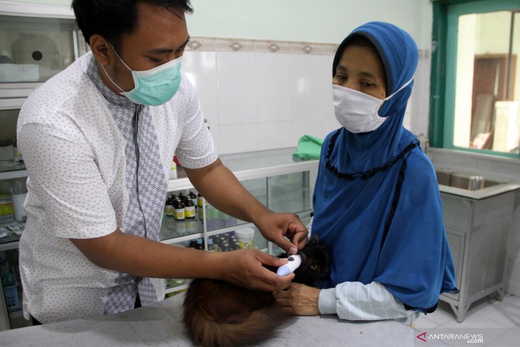 Vaksin rabies gratis bagi hewan peliharaan