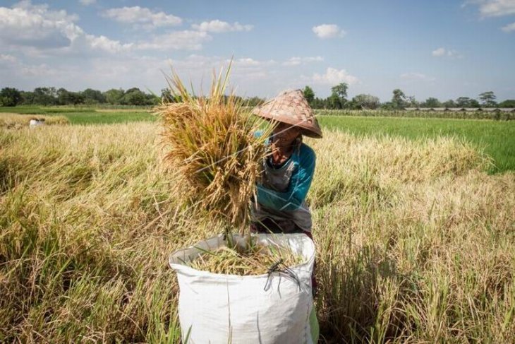 Kenaikan nilai tukar petani