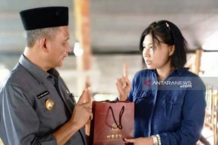 Ekspor jagung petani Nagan Raya ke Korea Selatan terkendala pandemi global