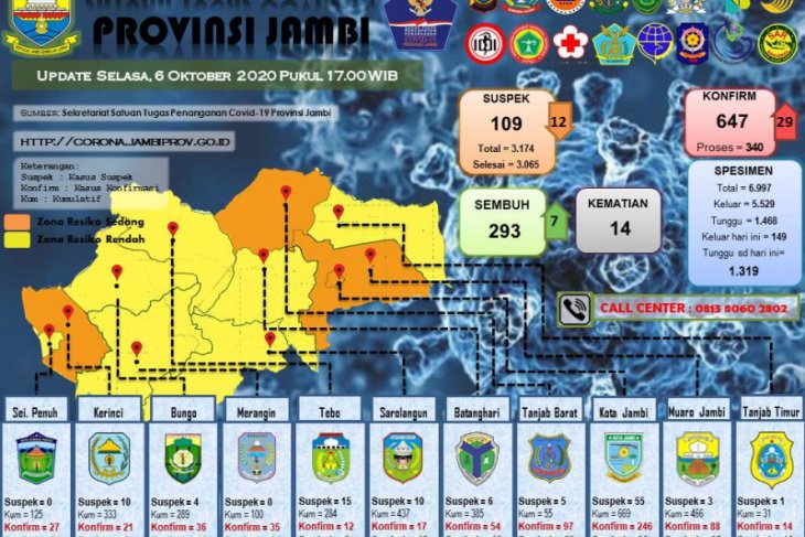 Pasien terkonfirmasi positif COVID-19 Provinsi Jambi bertambah 29 orang, terbanyak dari Muarojambi