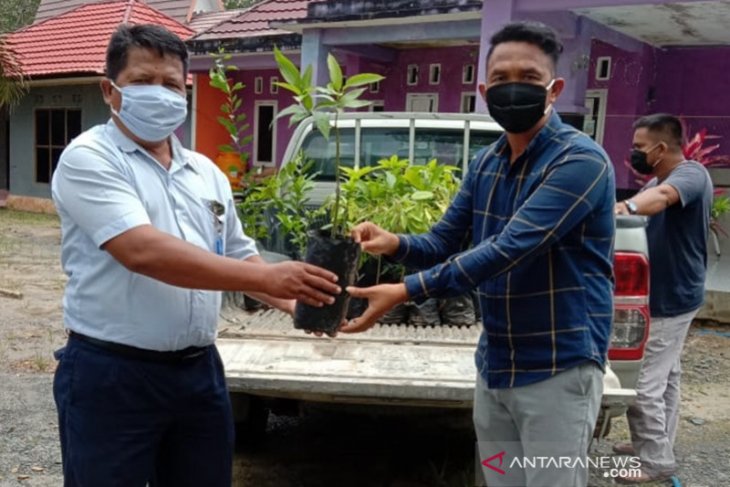 Indocement mendukung Agrowisata desa binaanya