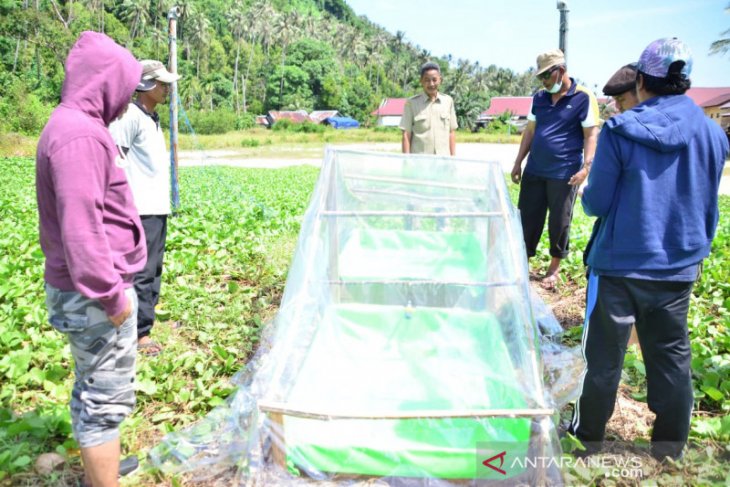 Citra Duani : Pulau Pelapis berpotensi produksi garam