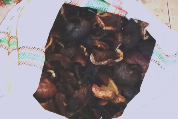 Harga kopra di Ambon terus bergerak naik