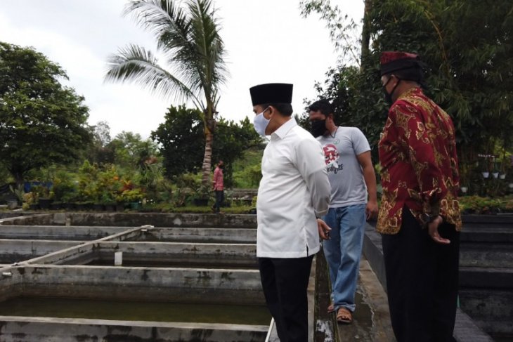 Omzet usaha ikan koi di Banyuwangi meningkat meski pandemi