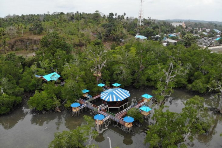 Bupati Desa wisata Maluku Tenggara go digital