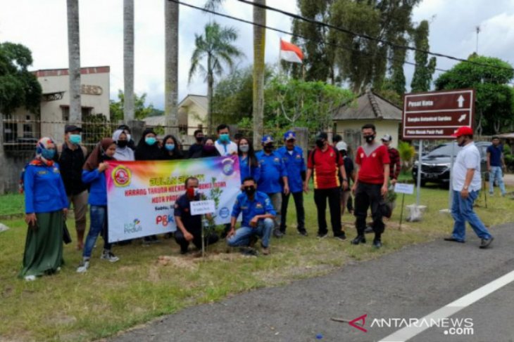 Gandeng Karang Taruna, PLN Babel tanam 400 pohon di kawasan Pantai Pasir Padi