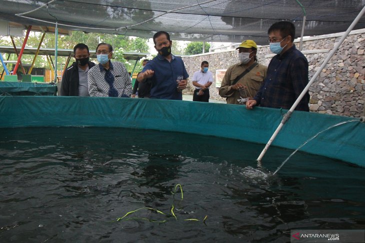  Peluncuran Awal Edu Eco Agrowisata IOC Ubaya