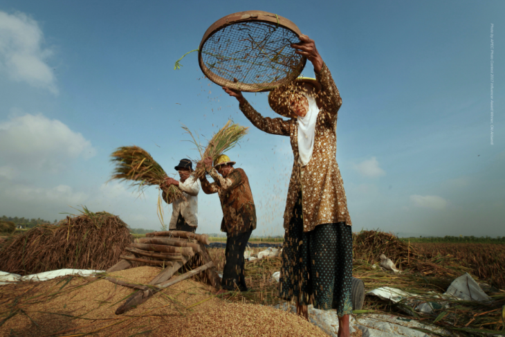 APEC should enhance resilience in food systems: Report