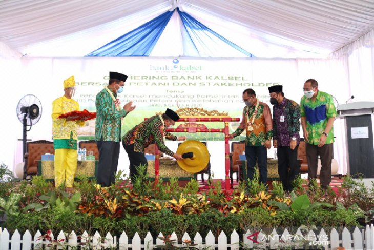 Dukung Sektor Pertanian, Bank Kalsel Sinergi Dengan Petani