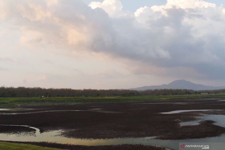 Kekeringan Waduk Saradan Makin Meluas