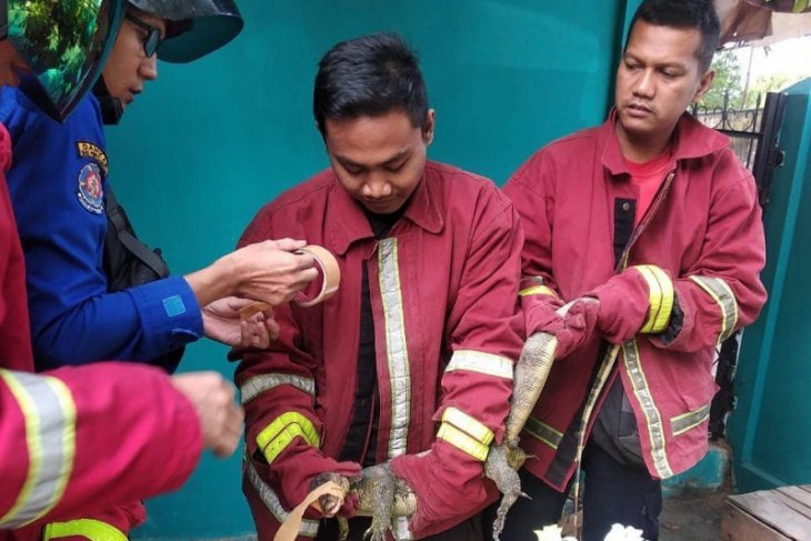 Damkar Kota Jambi tangani 77 kasus non kebakaran