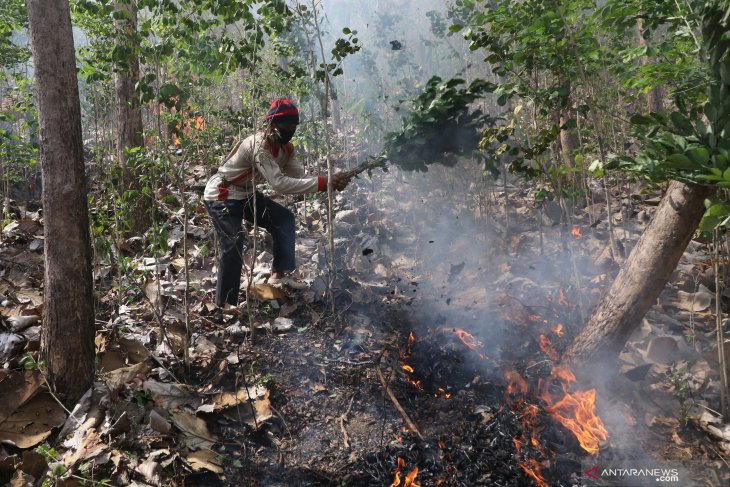 Simulasi penanganan kebakaran hutan