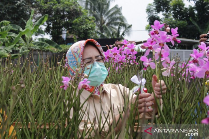 Wali Kota Airin Rachmi Diany dorong masyarakat manfaatkan lahan untuk bertani