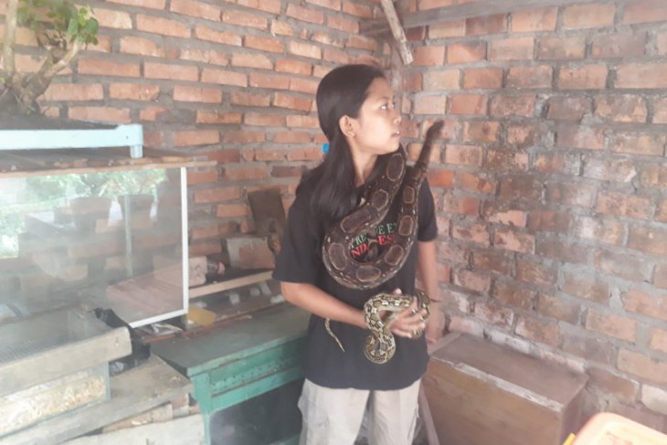 Sella gadis Sebapo si penakluk ular