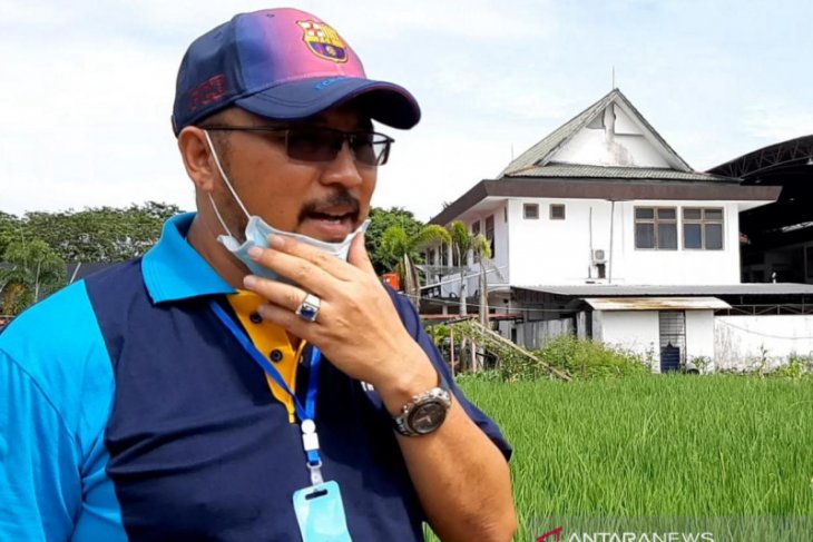 Produksi beras Kalbar masih surplus di tengah pandemi