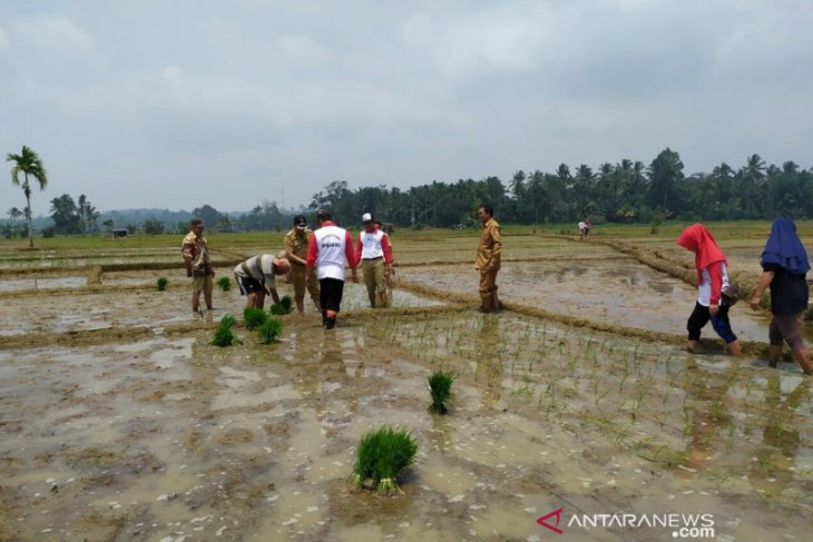 Petani Mukomuko terancam tidak bisa tanam padi bantuan pemerintah