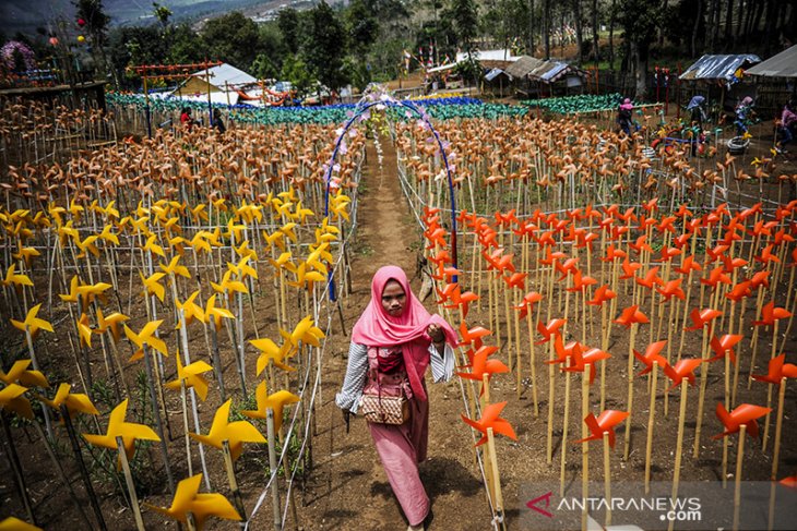 Wisata taman kincir Zandea 