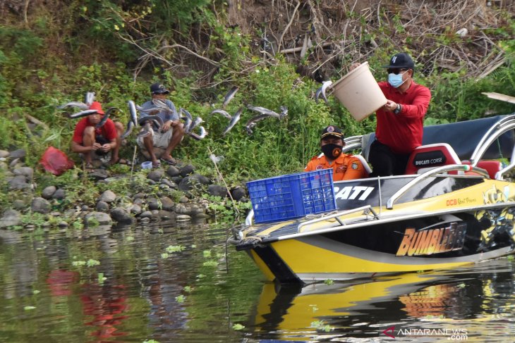 Memancing Gratis untuk Hiburan di Tengah Pendemi