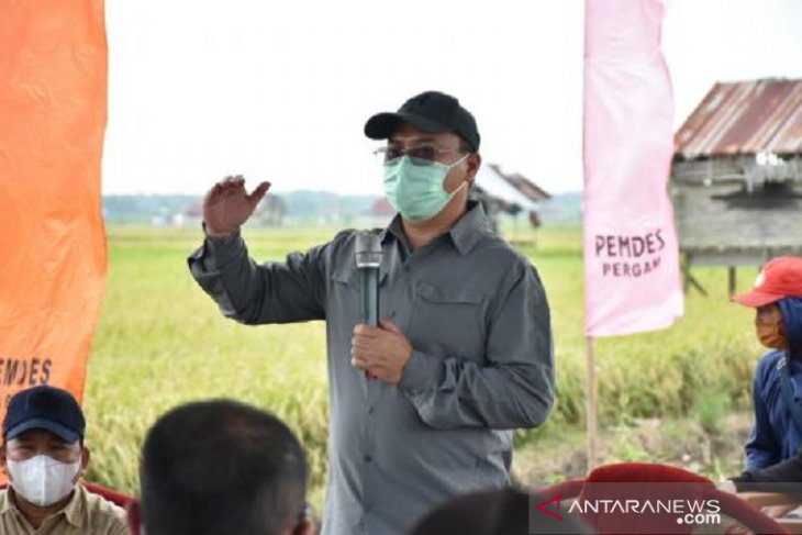 Bangka Belitung jadikan sentra padi Bangka Selatan sebagai