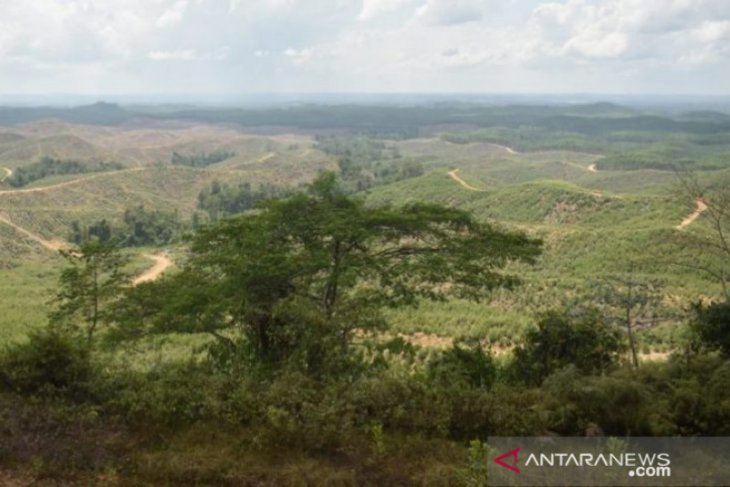 DPRD Penajam: Perencanaan induk pembangunan IKN terus berlanjut