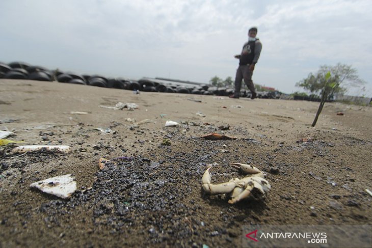 Ceceran minyak mentah di pantai 