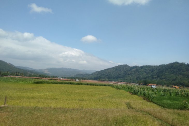 Jaga ketahanan pangan, Pemkab Purwakarta gulirkan program perluasan areal tanam baru