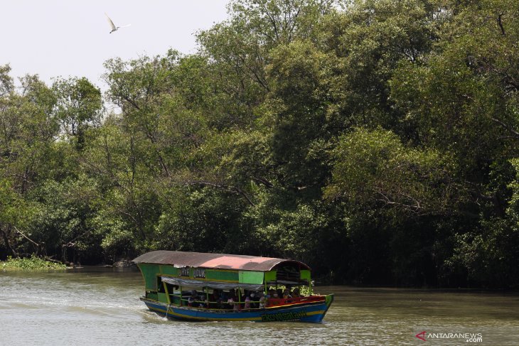 Ekowisata Mangrove Wonorejo