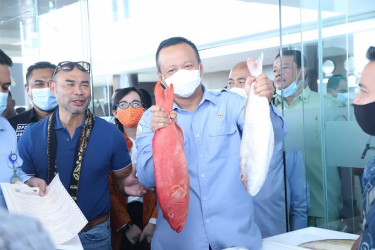 Menteri KKP: Semangat